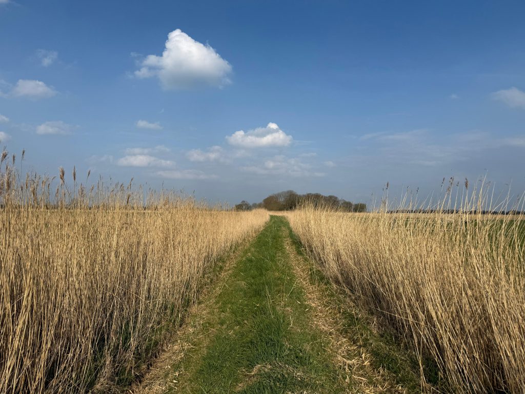 WhatsApp Image 2025 08 04 At 19.11.09 1024x768